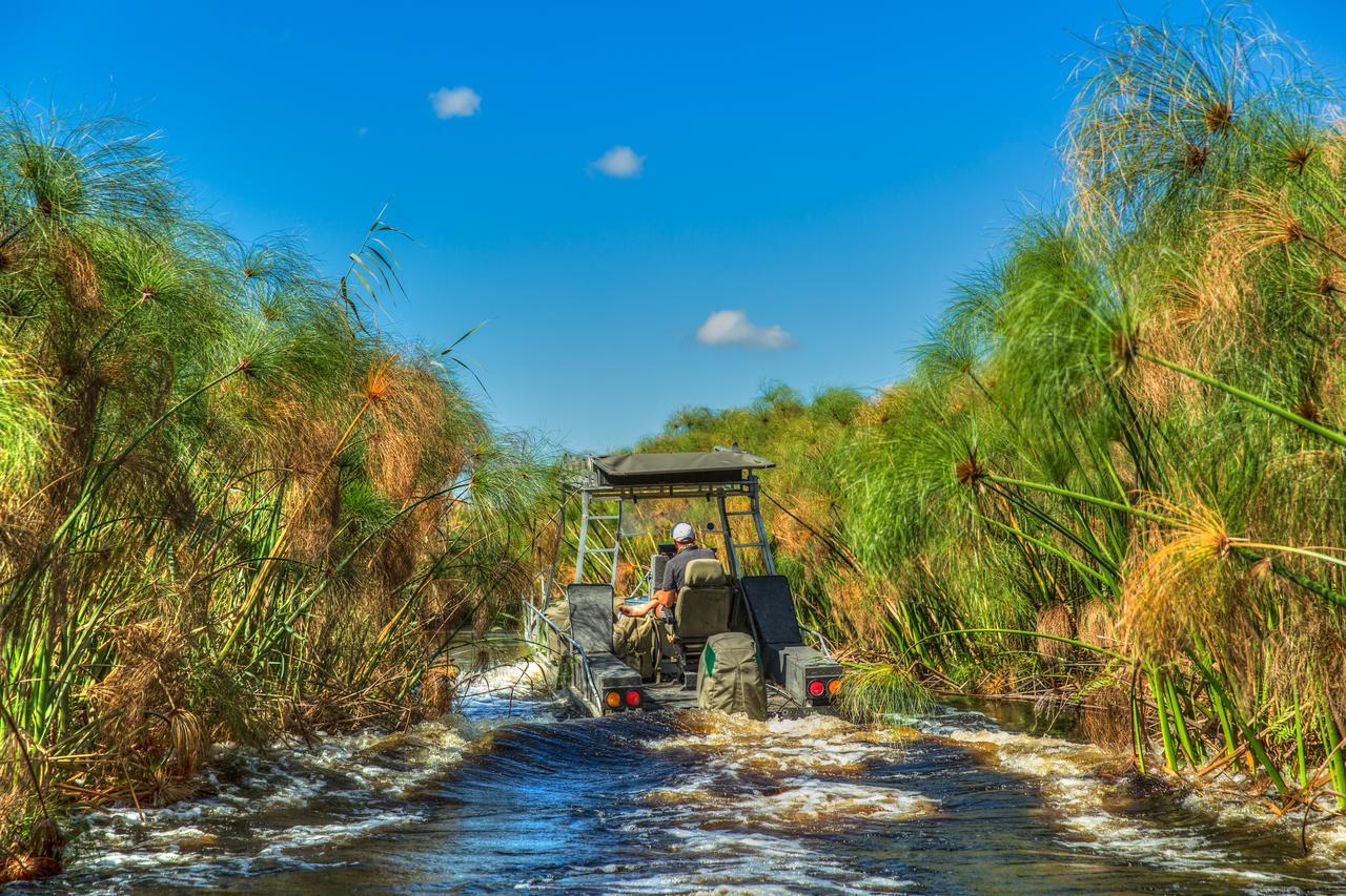 מאון Thamalakane River Lodge מראה חיצוני תמונה